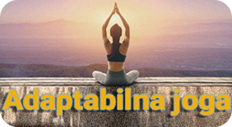 Adaptabilna yoga