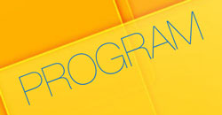 Program skupa